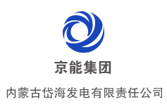 愛維龍媒—內(nèi)蒙岱海發(fā)電文化手冊部分案例