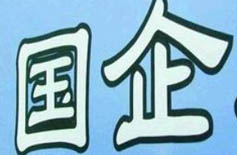 國內(nèi)大型企業(yè)集團(tuán)管控體系咨詢