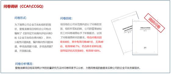 問卷調(diào)查