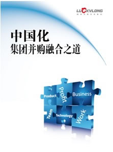 中國(guó)化集團(tuán)并購(gòu)融合之道.jpg